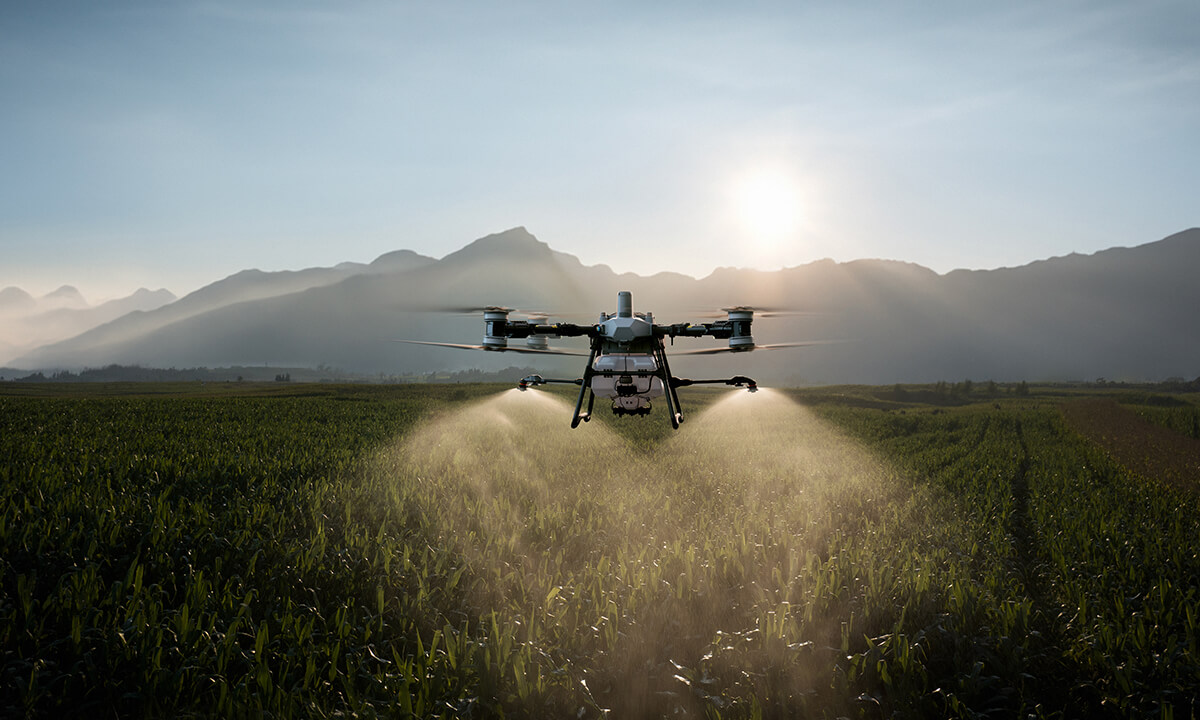 Agricultural spray drone flying over Saskatchewan wheat field at golden hour